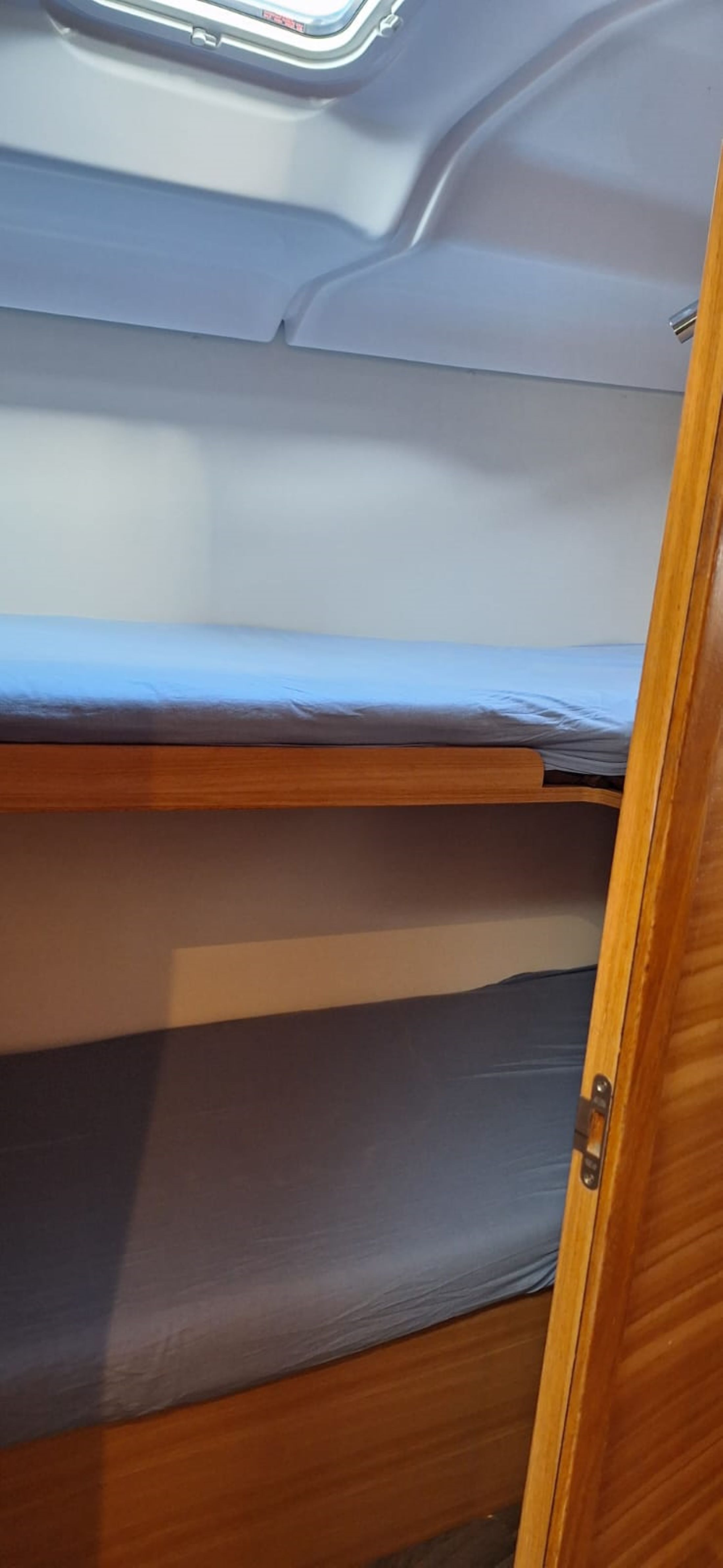 Elan 45.1 Impression | Flamingo