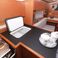 Bavaria C42 | Antares