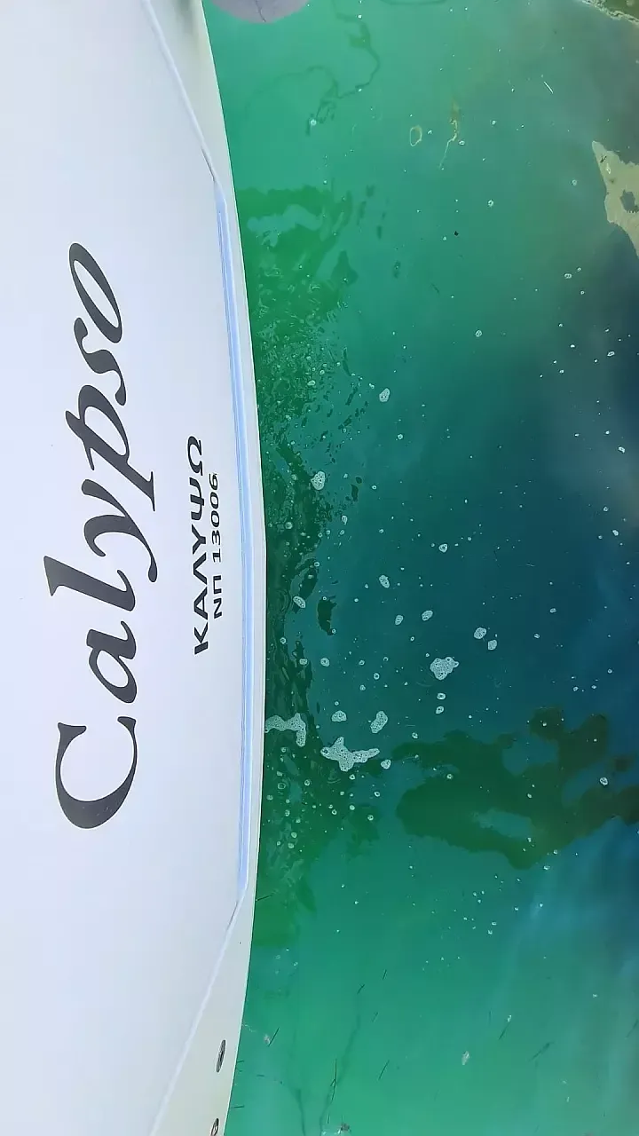 Jeanneau Sun Odyssey 440 | Calypso
