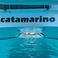 Dufour Catamarans 48 | Catamarino