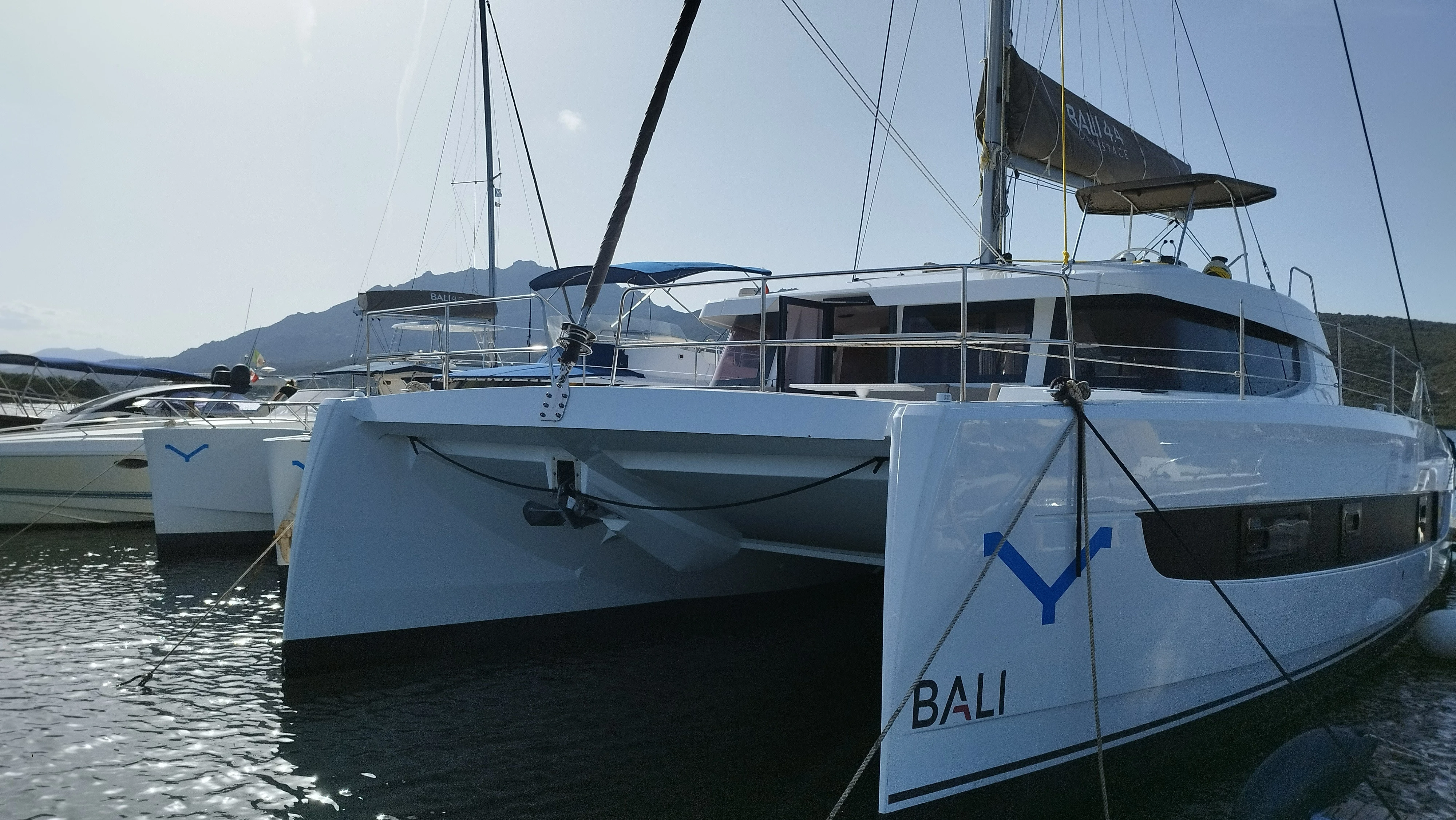 Bali 4.4 | Stenella