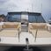 Aquila 36 | Joy