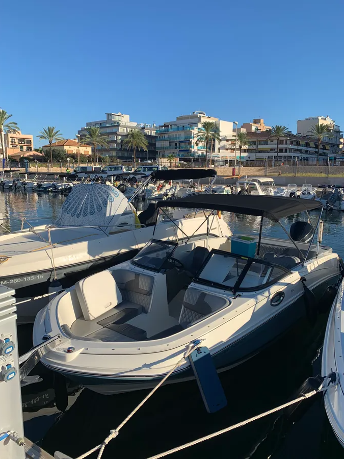 Bayliner VR6 OE | Goodday