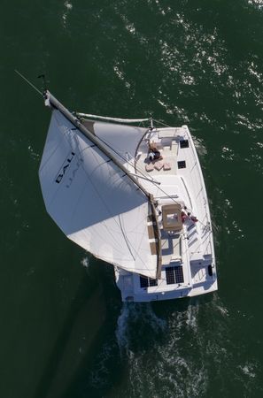 Bali Catspace | Little Frog