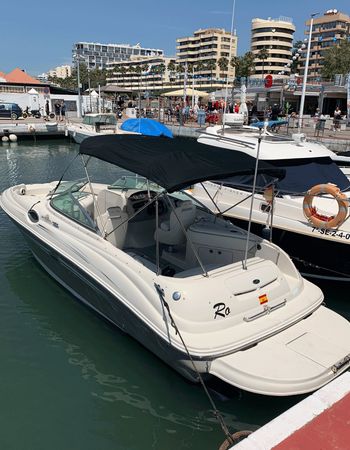Sea Ray Sundeck 240 | Ro