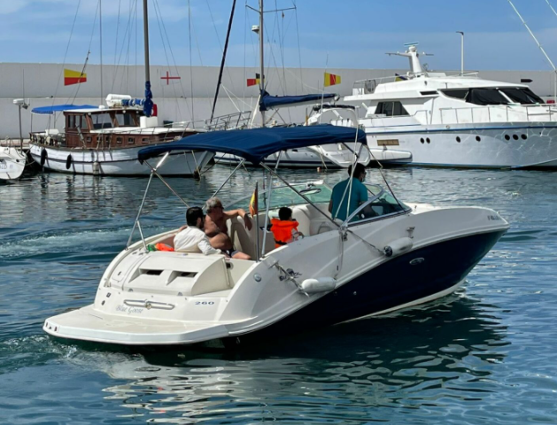 Sea Ray 260 | Blue Goose