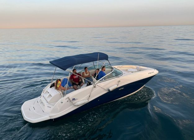 Sea Ray 260 | Blue Goose