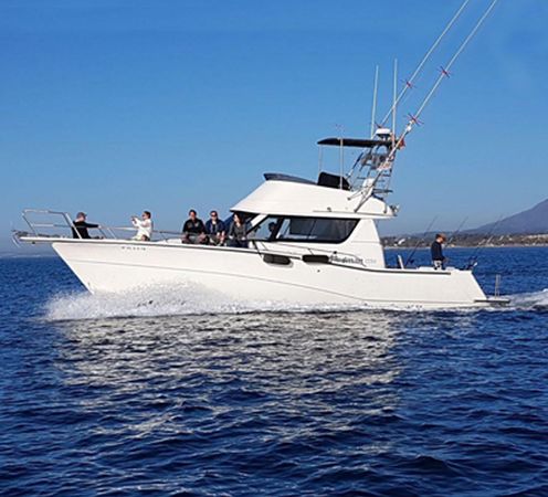 Rodman 1250 | Red Tide