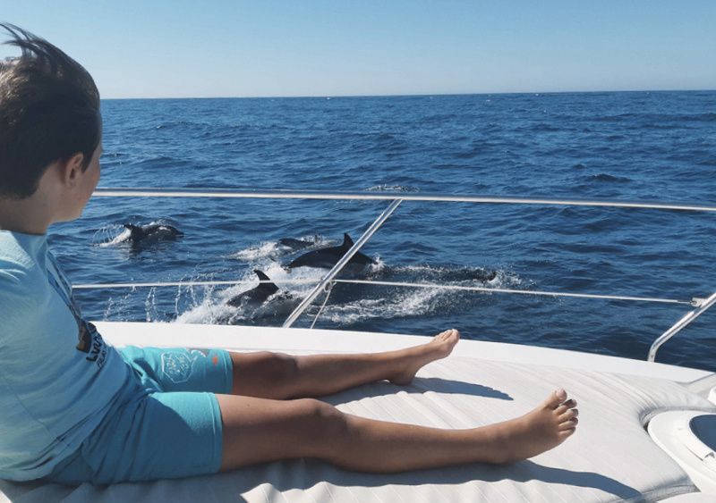 Astondoa 36 S | Lovit