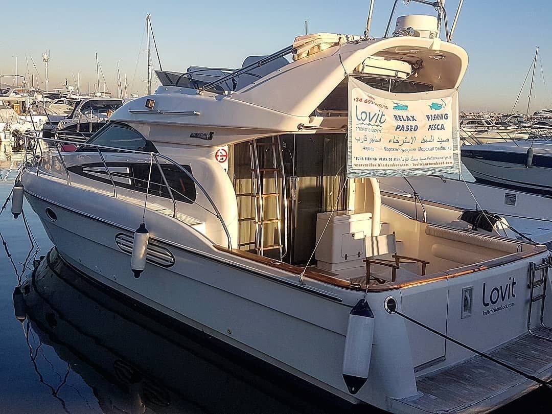 Astondoa 36 S | Lovit