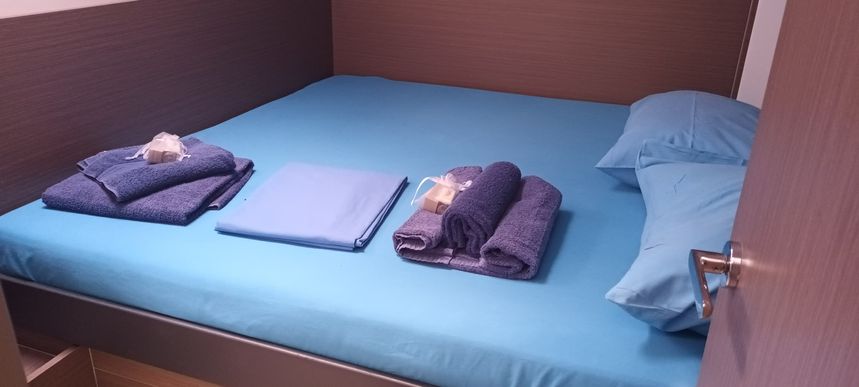 Leopard 50 | Pannonica