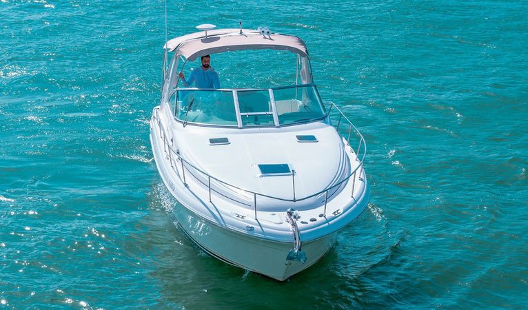 Sea Ray Sundancer 340 | Finally