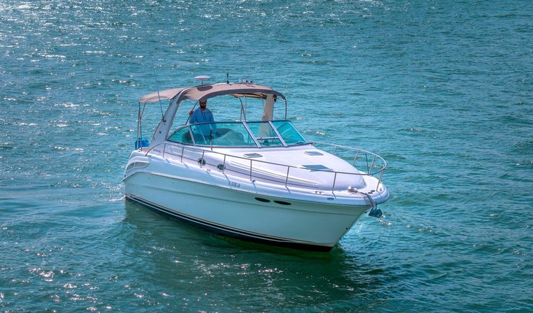 Sea Ray Sundancer 340 | Finally