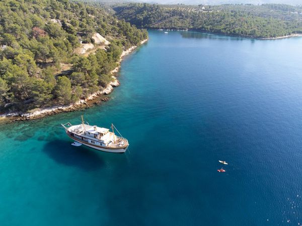 Custom Built 100 | Gallant