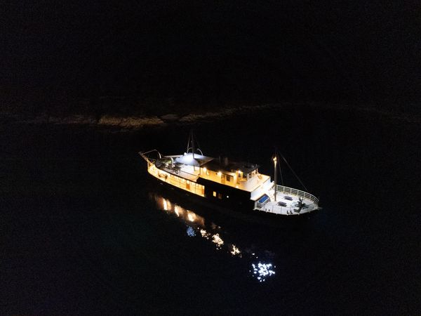 Custom Built 100 | Gallant