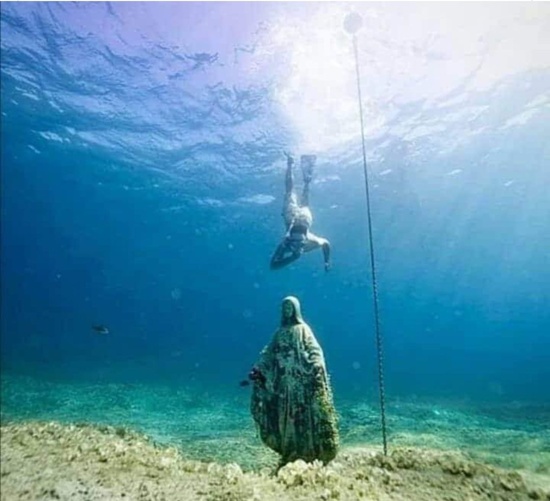 Enterprise 46 | Marina Macrial