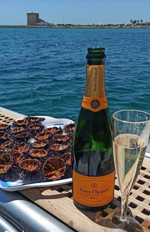 Enterprise 46 | Marina Macrial