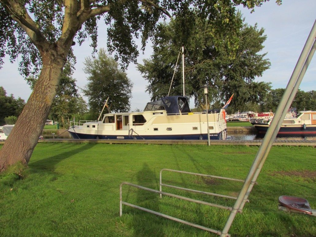 Delos 1430 | IJsvogel