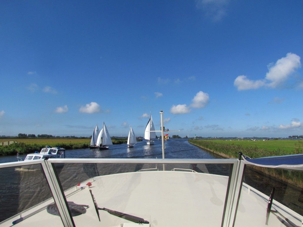 Delos 1430 | IJsvogel