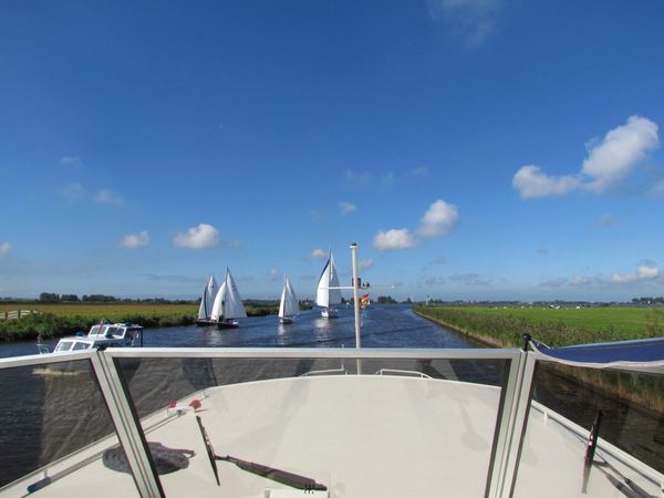 Delos 1430 | IJsvogel