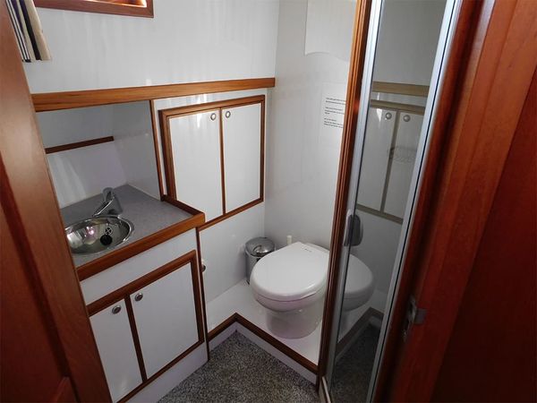 Delos 1430 | IJsvogel