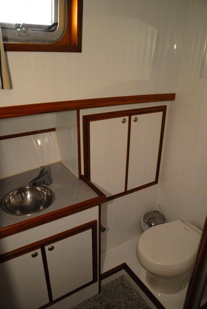 Delos 1430 | IJsvogel