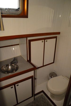 Delos 1430 | IJsvogel