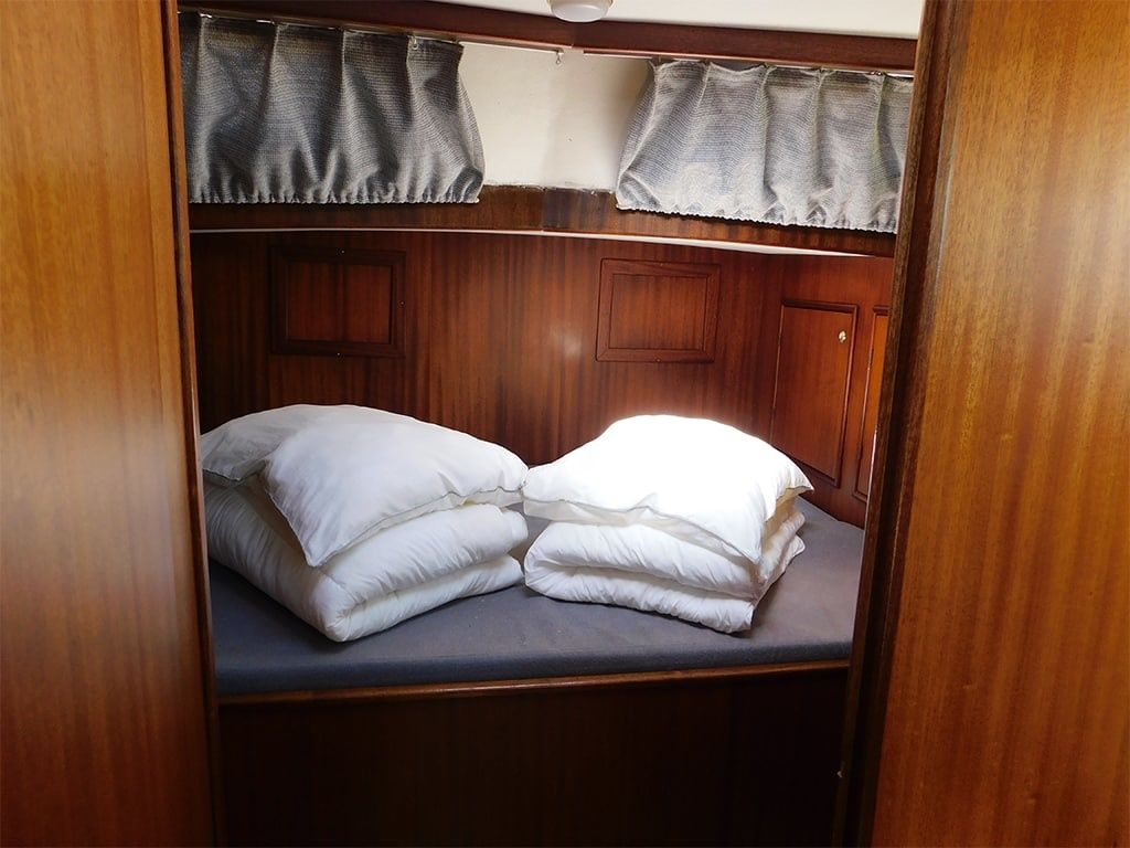 Rogger 1000 | Mantelmeeuw