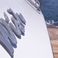 Alfamarine 90 | Wish