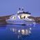 Alfamarine 90 | Wish
