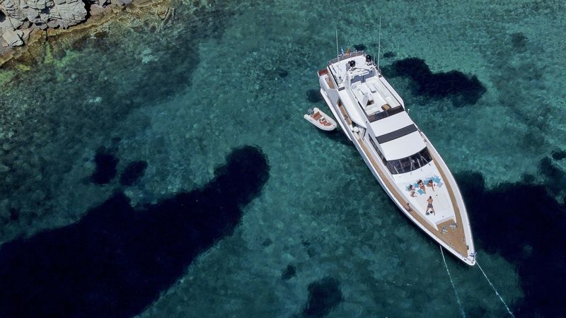 Alfamarine 90 | Wish