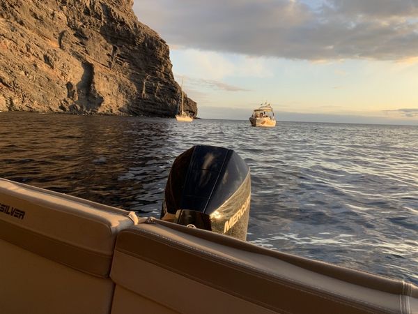 Quicksilver 755 Sun Deck | Moni Boat