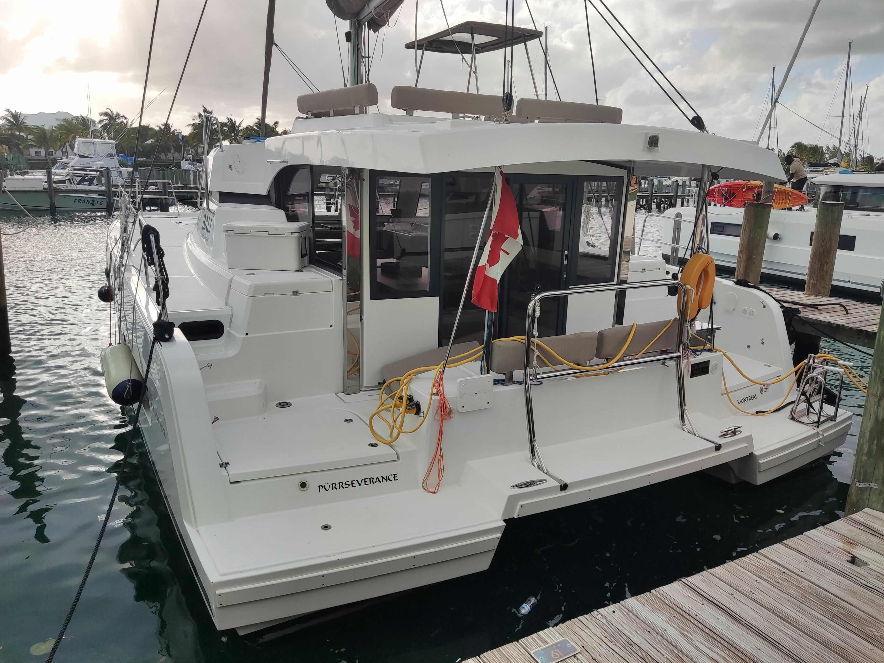 Bali Catspace | Purrseverance