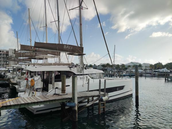 Bali Catspace | Purrseverance