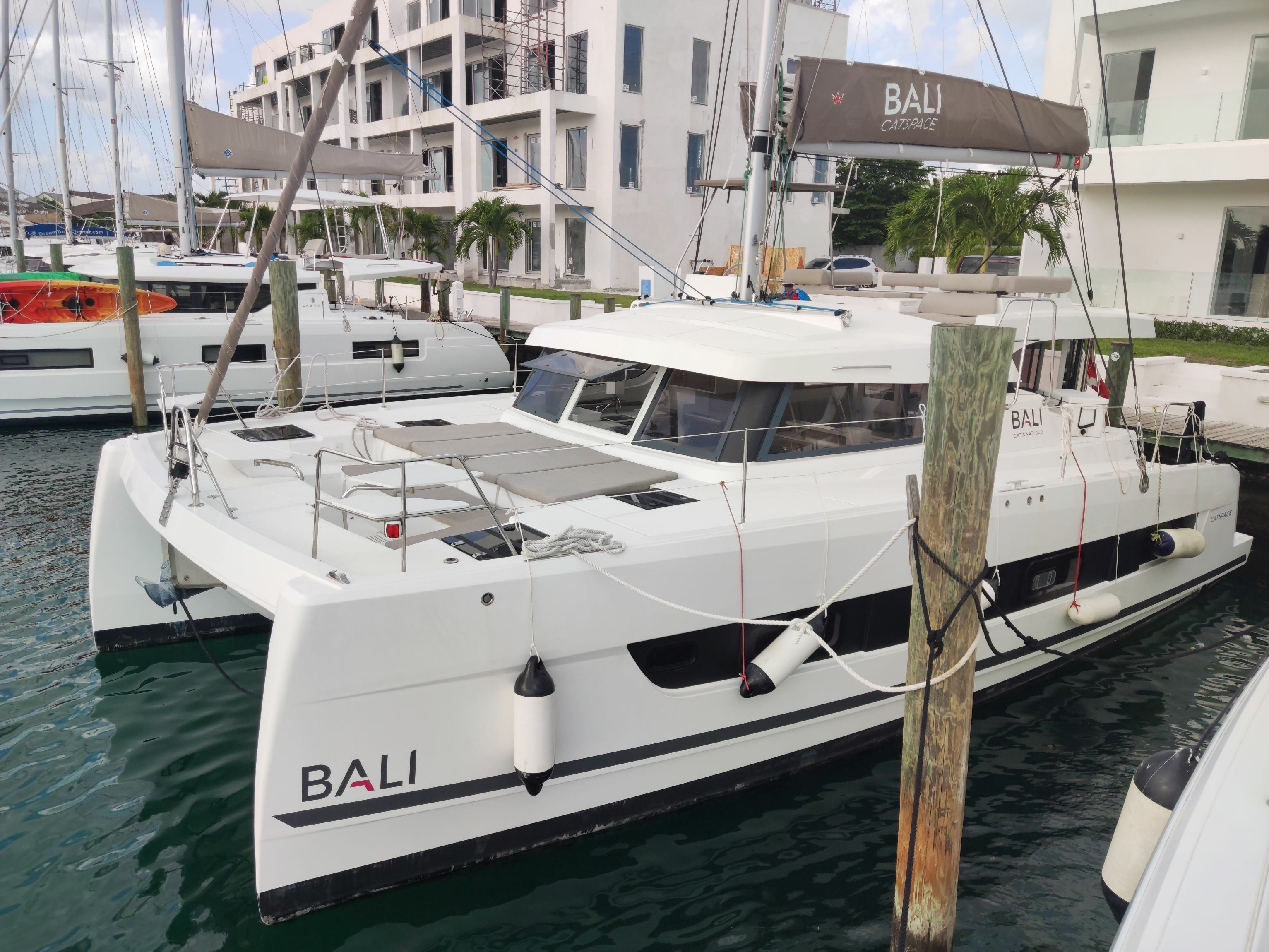 Bali Catspace | Purrseverance