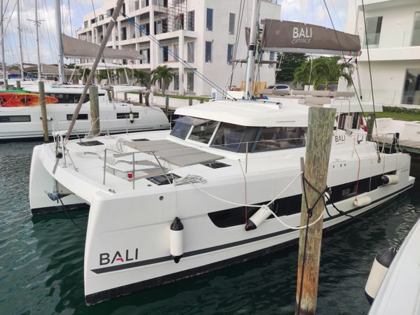 Bali Catspace | Purrseverance