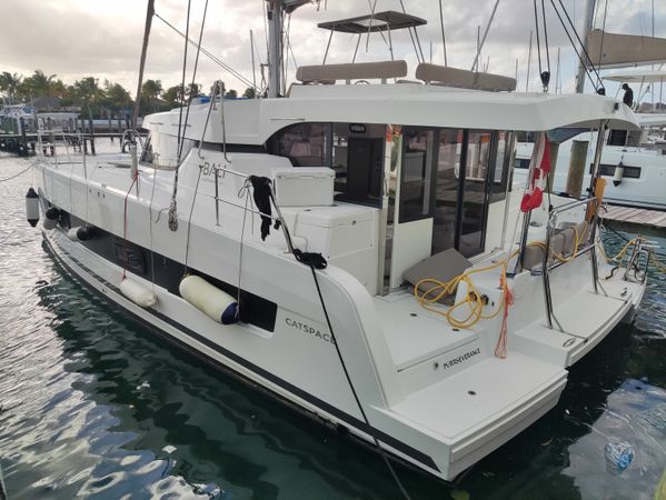 Bali Catspace | Purrseverance