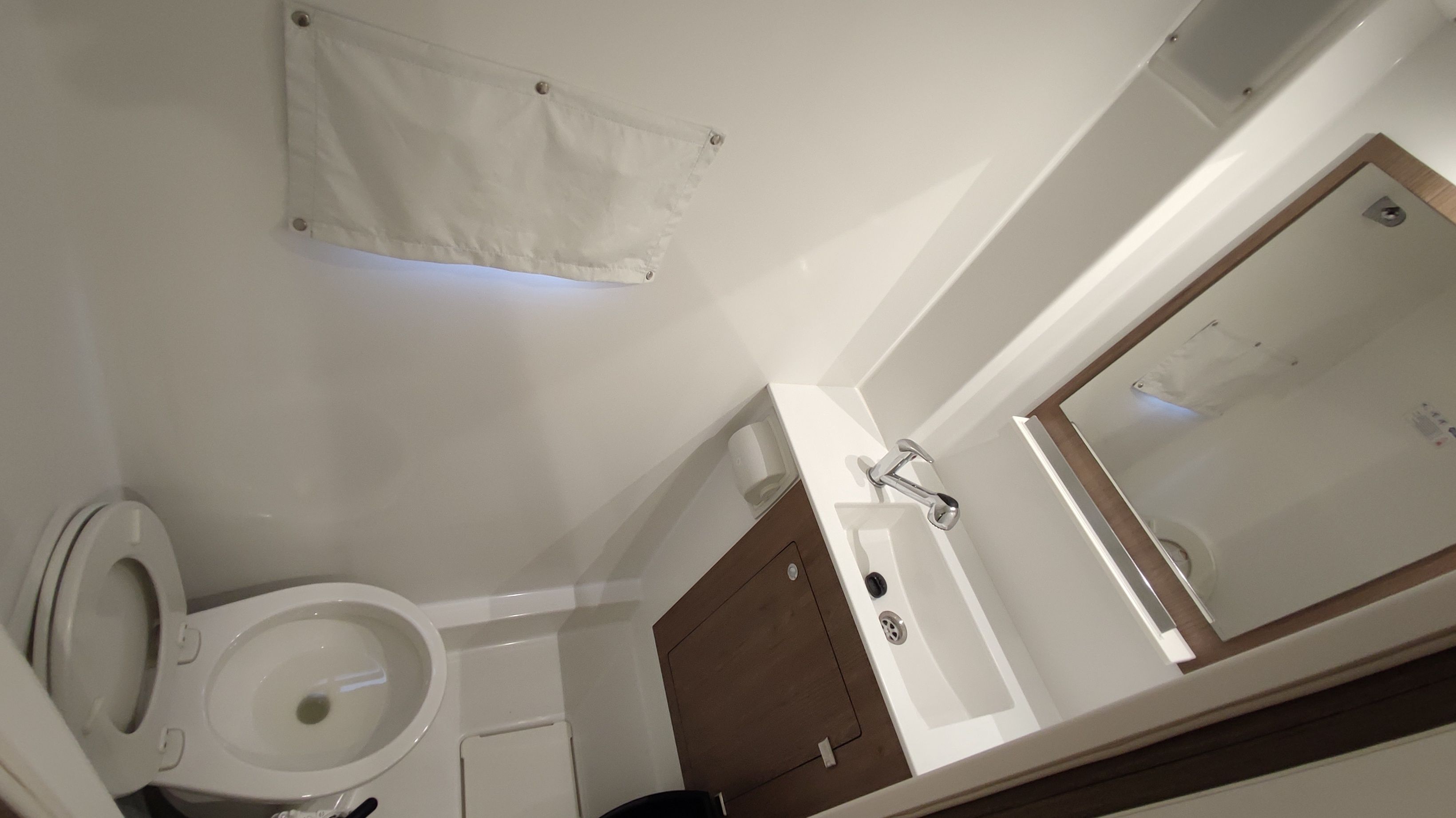 Bali Catspace | Purrseverance