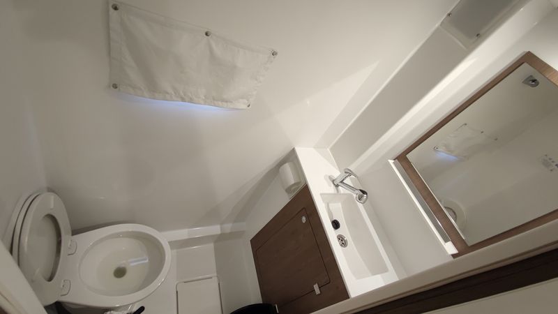 Bali Catspace | Purrseverance