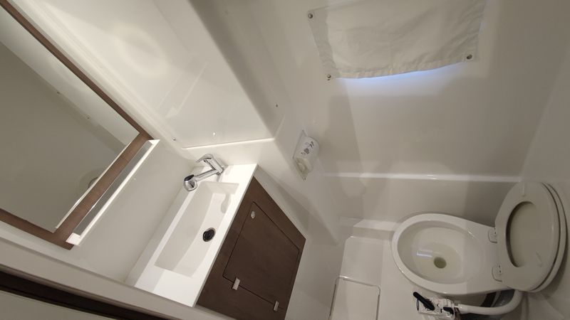 Bali Catspace | Purrseverance