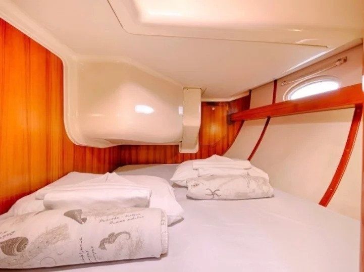 Elan 514 Impression | Why Knot