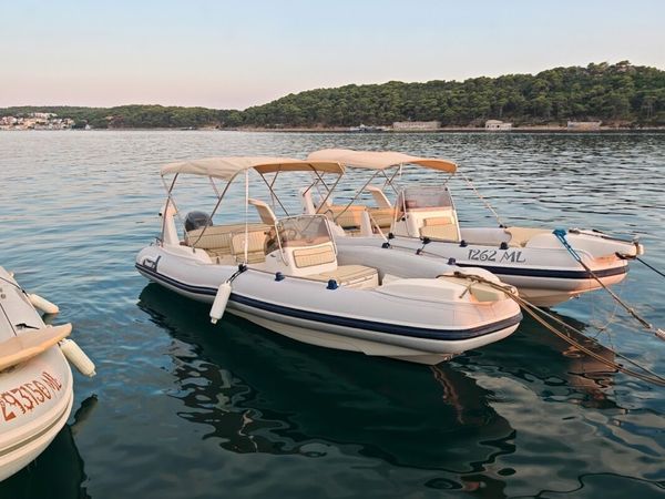 Marlin 20 | 12