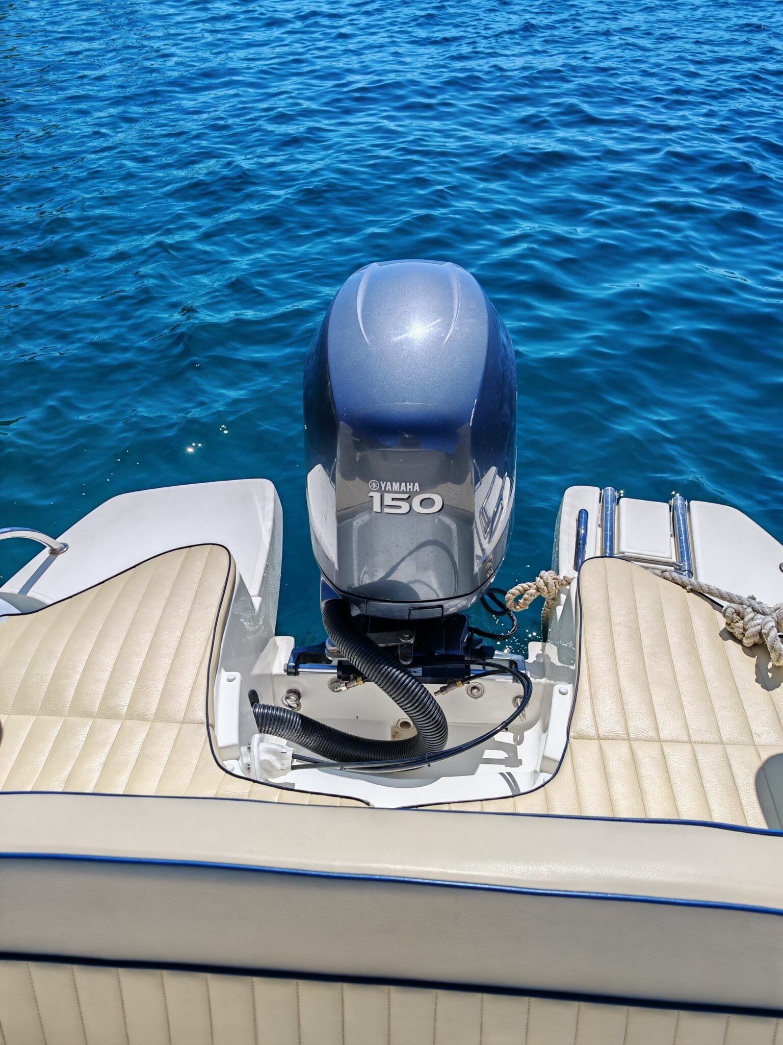 Marlin 20 | 12