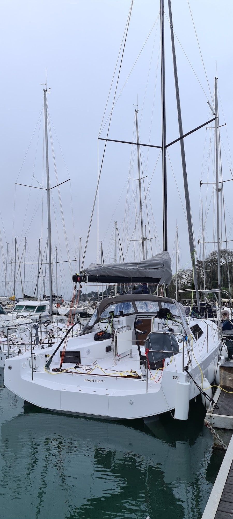 Pogo 36 | Should I Go