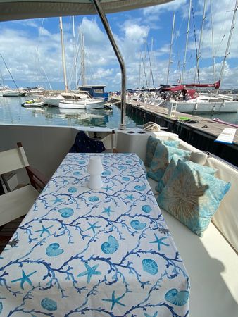 Beneteau Swift Trawler 47 | Alexia