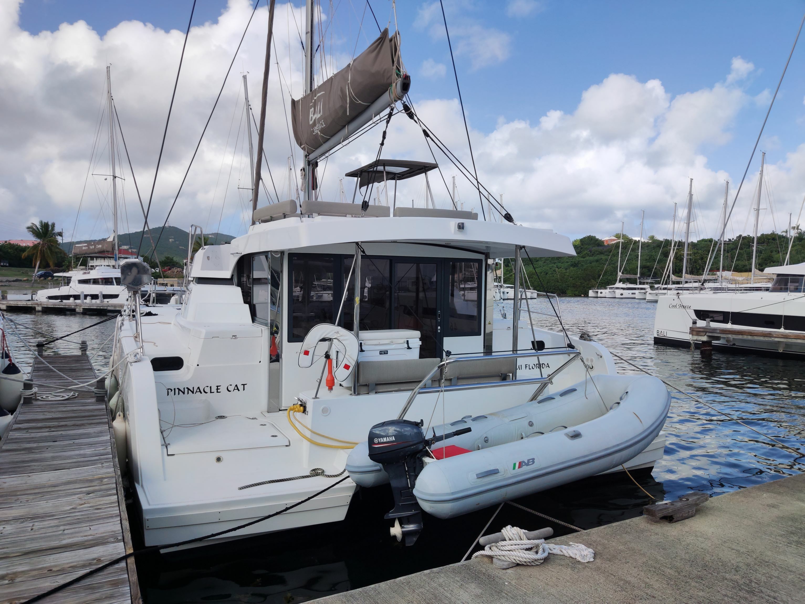 Bali Catspace | Pinnacle Cat