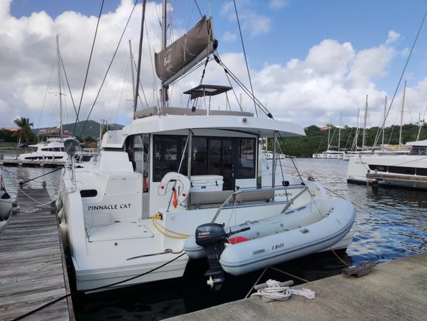 Bali Catspace | Pinnacle Cat