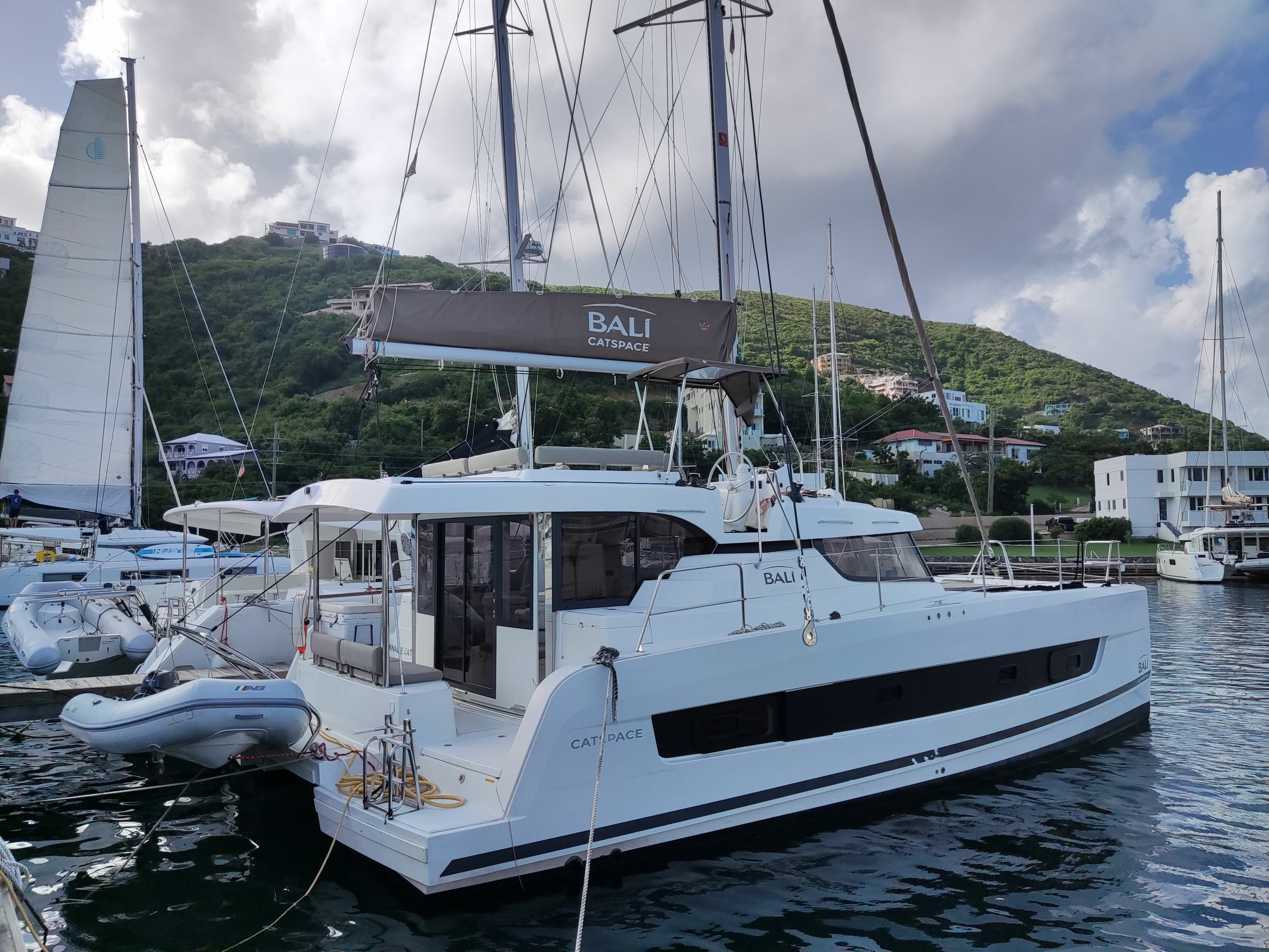 Bali Catspace | Pinnacle Cat