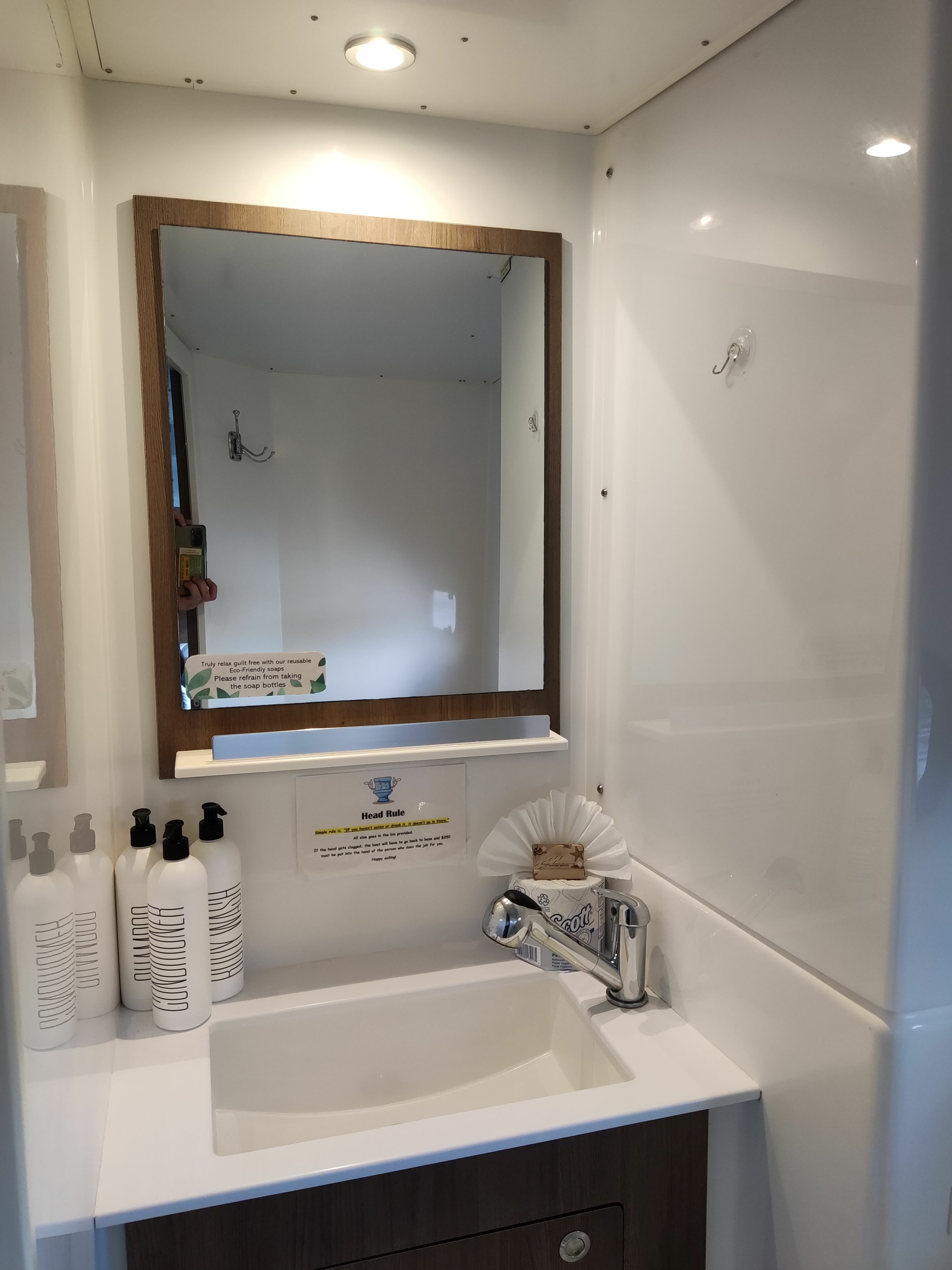 Bali Catspace | Pinnacle Cat