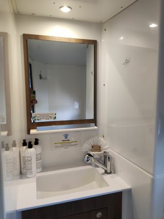 Bali Catspace | Pinnacle Cat